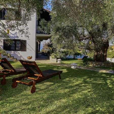 אורמוס פנגיאס Villa The Cosy Olive מראה חיצוני תמונה