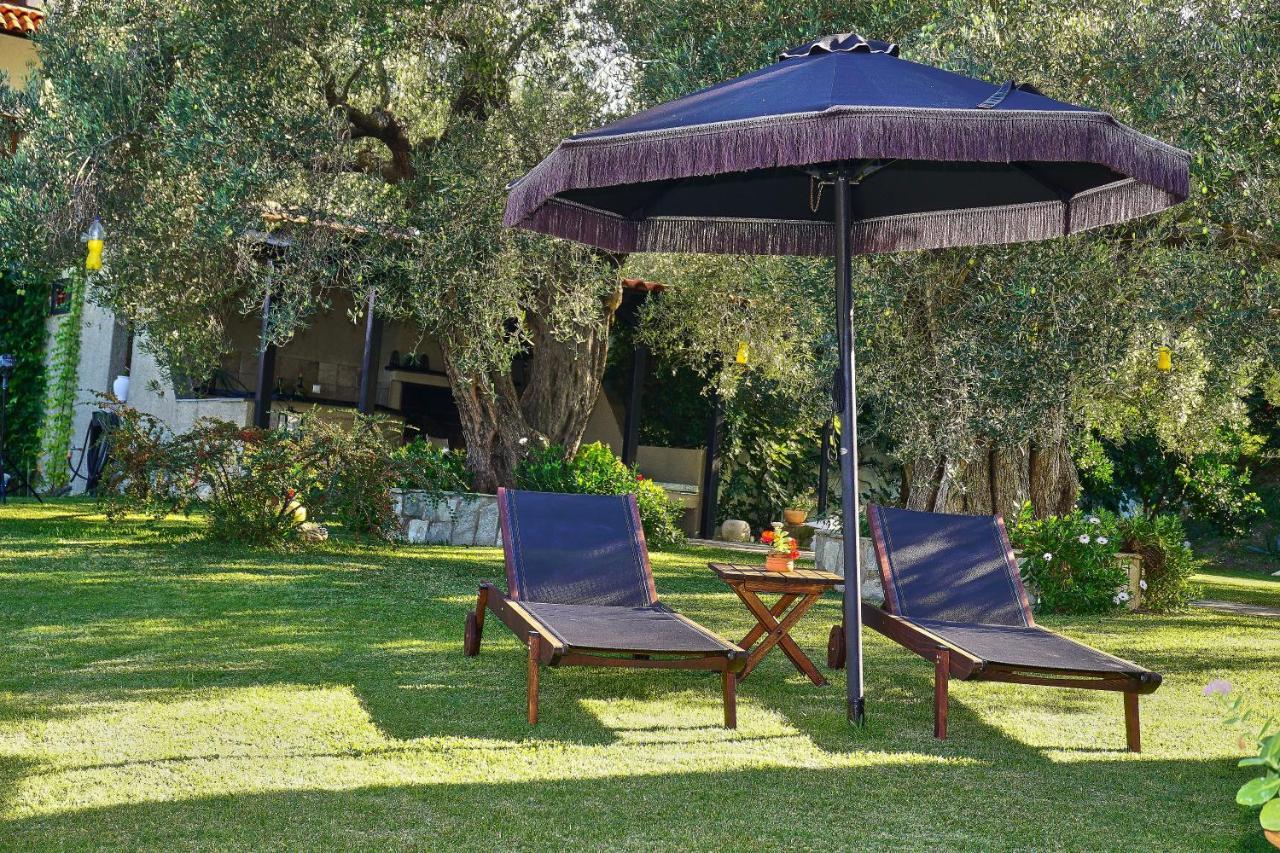 אורמוס פנגיאס Villa The Cosy Olive מראה חיצוני תמונה